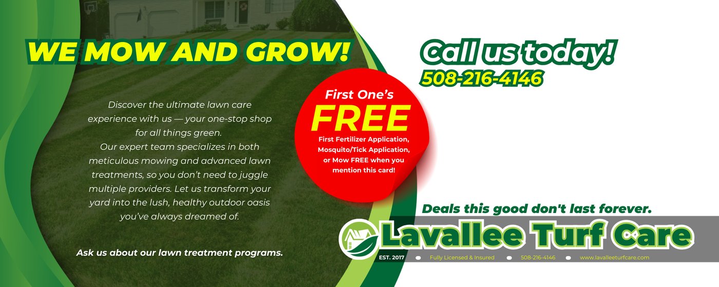 Direct Mail Postcard